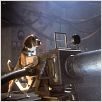 Como perros y gatos : foto Lawrence Guterman