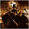 Batman Begins : Cartel