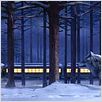 Polar Express : foto Robert Zemeckis