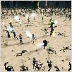 Star Wars. Episodio II. El ataque de los clones : foto George Lucas