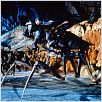 Starship Troopers (Las brigadas del espacio) : foto Paul Verhoeven