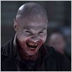 30 días de oscuridad : foto Andrew Stehlin, David Slade
