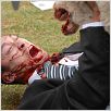 Ovejas asesinas : foto Jonathan King, Jono Manks