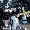 La gran aventura de Pee-Wee : foto Paul Reubens, Tim Burton