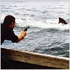 Tiburón : foto Roy Scheider, Steven Spielberg