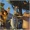 Madagascar 2 : foto Eric Darnell