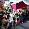 Un chihuahua en Beverly Hills : foto Raja Gosnell