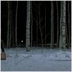 Déjame entrar : foto Tomas Alfredson