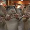 El ratón Pérez 2 : Foto