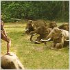 Ong Bak 2 - La leyenda del Rey Elefante : foto Tony Jaa