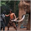 Ong Bak 2 - La leyenda del Rey Elefante : foto