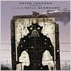 District 9 : Cartel Neill Blomkamp