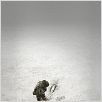 En tierra hostil : foto Kathryn Bigelow