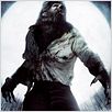 El hombre lobo : cartel