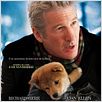 Siempre a tu lado. Hachiko : cartel