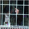 Nuestra canción de amor : foto Forest Whitaker, Madeline Zima, Olivier Dahan