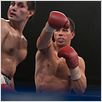 The Fighter : foto David O. Russell, Mark Wahlberg