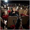 El gato con botas : foto Antonio Banderas, Chris Miller, Chris Miller (II)