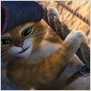 El gato con botas : foto Chris Miller, Chris Miller (II)