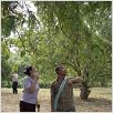 Uncle Boonmee recuerda sus vidas pasadas : foto Apichatpong Weerasethakul