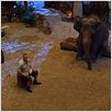 Zooloco : foto Frank Coraci, Kevin James