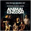 Animal Kingdom : cartel