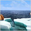 Ice Age 4: La formación de los continentes : foto
