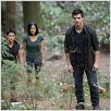 La saga Crepúsculo: Amanecer - Parte 1 : foto Bill Condon