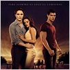 La saga Crepúsculo: Amanecer - Parte 1 : cartel