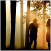 Tokio Blues (Norwegian Wood) : foto