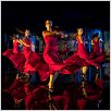Flamenco, Flamenco : foto
