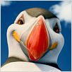 Happy Feet 2 : foto George Miller