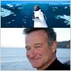 Happy Feet 2 : foto George Miller