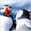 Happy Feet 2 : foto George Miller