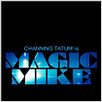 Magic Mike : cartel