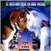 Como perros y gatos : cartel
