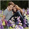 La saga Crepúsculo: Amanecer - Parte 2 : foto Kristen Stewart, Robert Pattinson