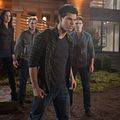 La saga Crepúsculo: Amanecer - Parte 1 : Foto Elizabeth Reaser, Peter Facinelli, Robert Pattinson, Taylor Lautner