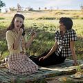 Foto Olivia Williams, Rachel Brosnahan