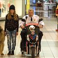 Grumpy Cat’s Worst Christmas Ever : Foto Daniel Roebuck, Megan Charpentier