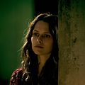 Point Break (Sin límites) : Foto Teresa Palmer