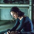 Shelter : Foto Anthony Mackie, Jennifer Connelly