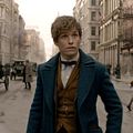 Animales fantásticos y dónde encontrarlos : Foto Eddie Redmayne