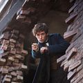 Animales fantásticos y dónde encontrarlos : Foto Eddie Redmayne