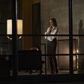 Animales nocturnos : Foto Amy Adams