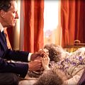 The Eye of the Storm : Foto Charlotte Rampling, Geoffrey Rush
