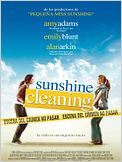 Sunshine Cleaning