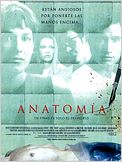 Anatomía
