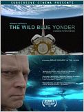 The Wild Blue Yonder
