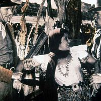 Fiebre de venganza : Foto Lee Marvin, Philip Carey, Raoul Walsh